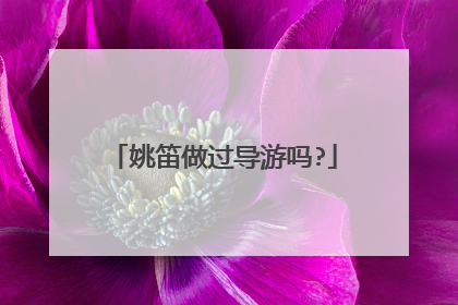 姚笛做过导游吗?