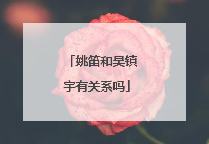 姚笛和吴镇宇有关系吗