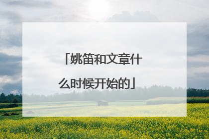姚笛和文章什么时候开始的