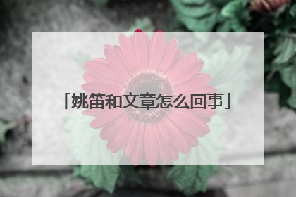 姚笛和文章怎么回事