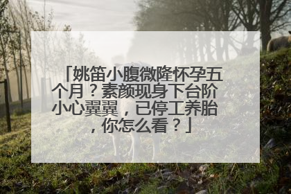 姚笛小腹微隆怀孕五个月?素颜现身下台阶小心翼翼,已停工养胎,你怎么看?
