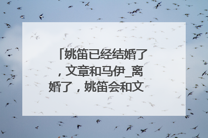 姚笛已经结婚了,文章和马伊_离婚了,姚笛会和文章旧情复燃吗?