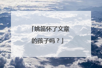 姚笛怀了文章的孩子吗?