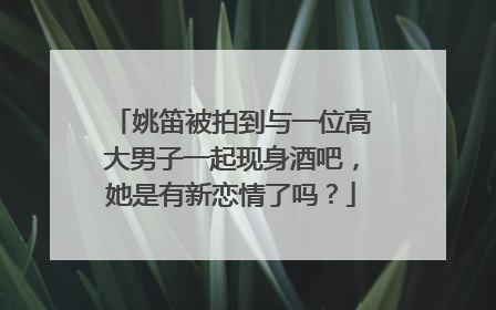 姚笛被拍到与一位高大男子一起现身酒吧，她是有新恋情了吗？