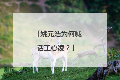 姚元浩为何喊话王心凌？