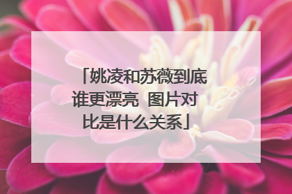 姚凌和苏薇到底谁更漂亮 图片对比是什么关系