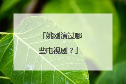 姚刚演过哪些电视剧？