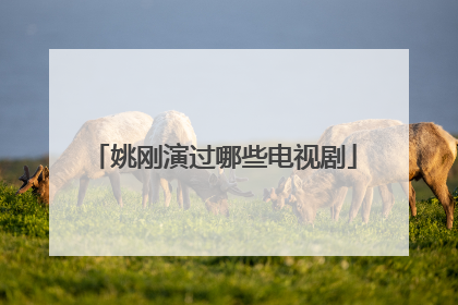 姚刚演过哪些电视剧