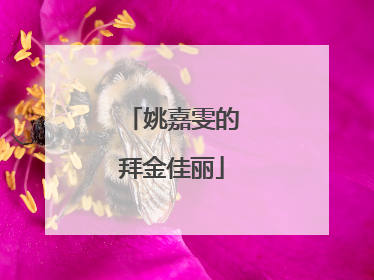 姚嘉雯的拜金佳丽