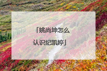 姚尚坤怎么认识纪凯婷
