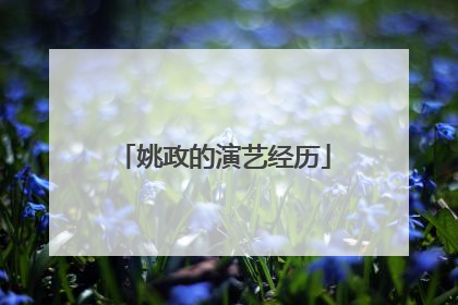 姚政的演艺经历