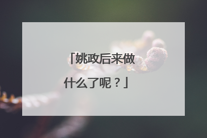 姚政后来做什么了呢?