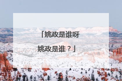 姚政是谁呀姚政是谁?