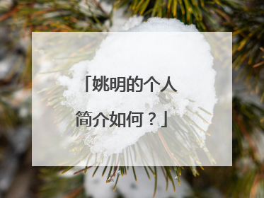 姚明的个人简介如何？
