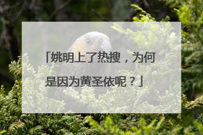 姚明上了热搜，为何是因为黄圣依呢？