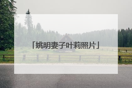 姚明妻子叶莉照片