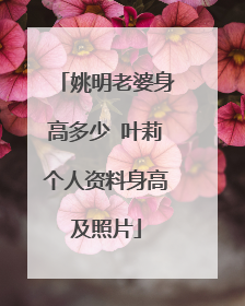 姚明老婆身高多少 叶莉个人资料身高及照片