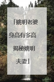 姚明老婆身高有多高 揭秘姚明夫妻