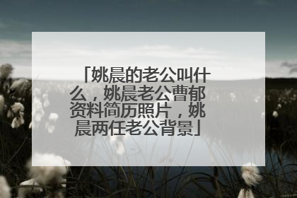 姚晨的老公叫什么，姚晨老公曹郁资料简历照片，姚晨两任老公背景