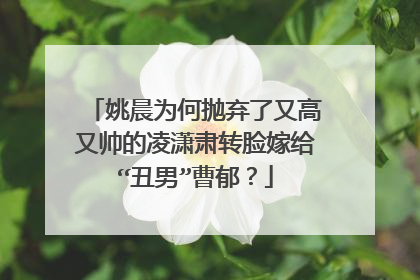 姚晨为何抛弃了又高又帅的凌潇肃转脸嫁给“丑男”曹郁?