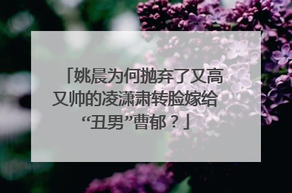 姚晨为何抛弃了又高又帅的凌潇肃转脸嫁给“丑男”曹郁？