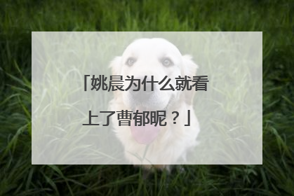 姚晨为什么就看上了曹郁昵?