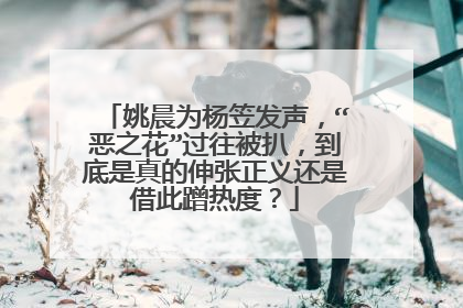 姚晨为杨笠发声，“恶之花”过往被扒，到底是真的伸张正义还是借此蹭热度？