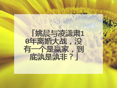 姚晨与凌潇肃10年离婚大战,没有一个是赢家,到底孰是孰非?