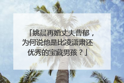 姚晨再婚丈夫曹郁，为何说他是比凌潇肃还优秀的宝藏男孩？