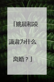 姚晨和凌潇肃为什么离婚?