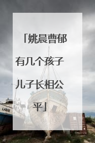 姚晨曹郁有几个孩子儿子长相公平