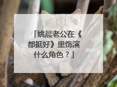 姚晨老公在《都挺好》里饰演什么角色?