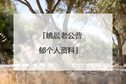 姚晨老公曹郁个人资料