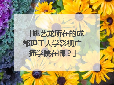 姚艺龙所在的成都理工大学影视广播学院在哪？