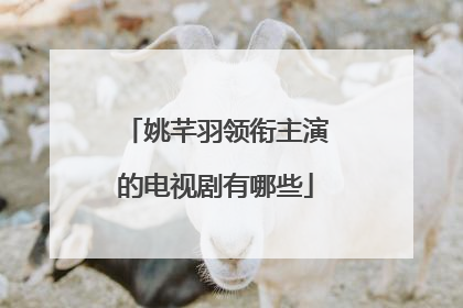 姚芊羽领衔主演的电视剧有哪些