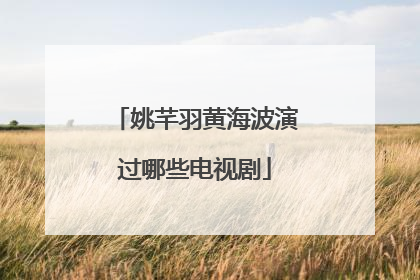 姚芊羽黄海波演过哪些电视剧