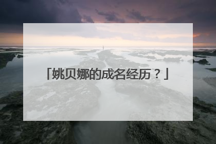 姚贝娜的成名经历？