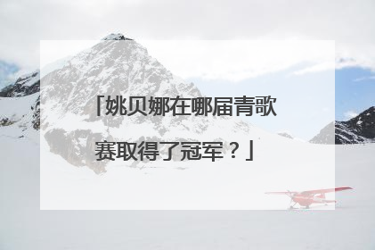 姚贝娜在哪届青歌赛取得了冠军?