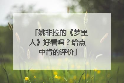 姚非拉的《梦里人》好看吗?给点中肯的评价