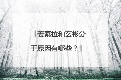 姜素拉和玄彬分手原因有哪些？