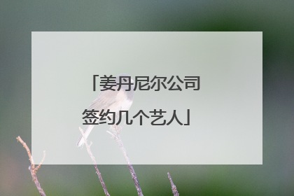 姜丹尼尔公司签约几个艺人