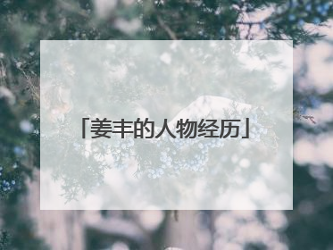 姜丰的人物经历