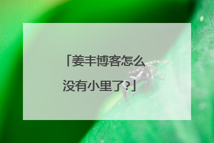 姜丰博客怎么没有小里了?