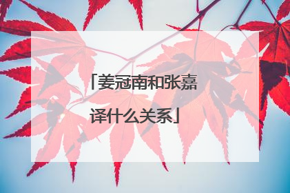 姜冠南和张嘉译什么关系