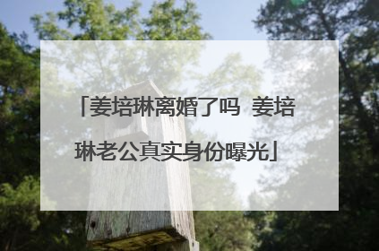 姜培琳离婚了吗 姜培琳老公真实身份曝光