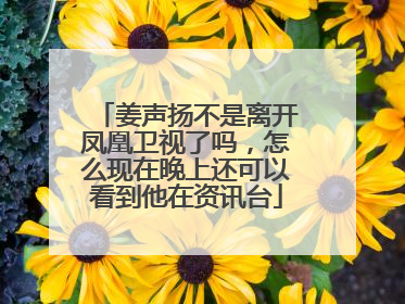 姜声扬不是离开凤凰卫视了吗，怎么现在晚上还可以看到他在资讯台
