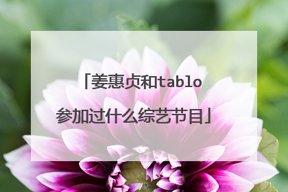 姜惠贞和tablo参加过什么综艺节目