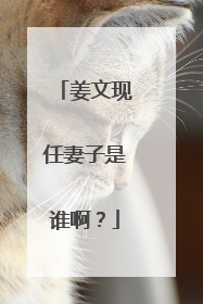 姜文现任妻子是谁啊？