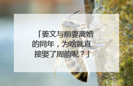 姜文与前妻离婚的同年,为啥就直接娶了周韵呢?