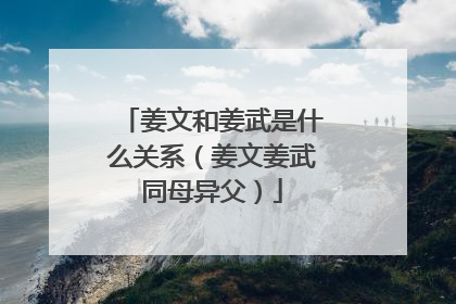 姜文和姜武是什么关系(姜文姜武同母异父)